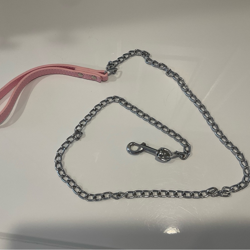 Pink and Silver Dog Leash